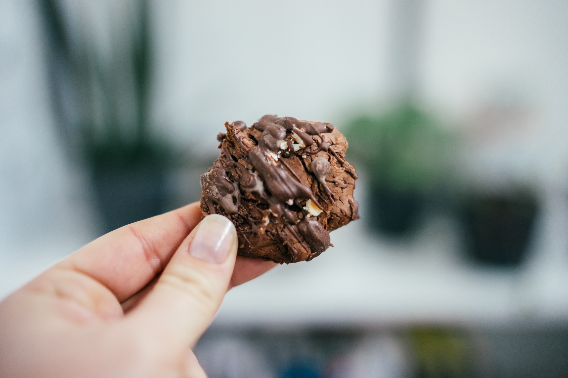 Blog Martha Klose | Schokoladen Plätzchen mit Pinienkernen | Rezept | Keks